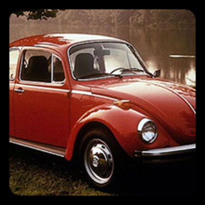 Beetle 
