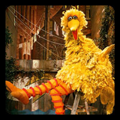  Big Bird 