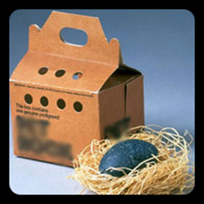  Pet Rock 