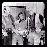 Bonanza 