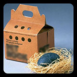  Pet Rock 
