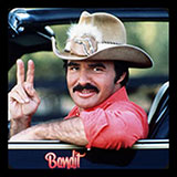  Smokey And The Bandit 
